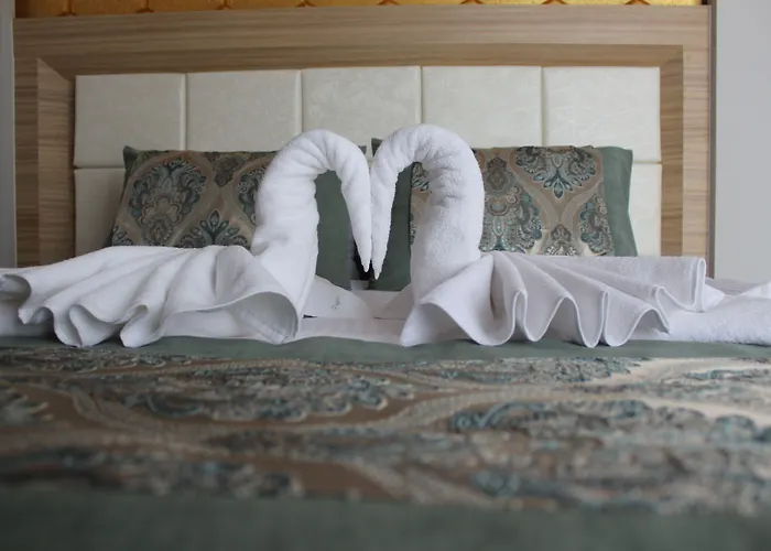 Hotel Seyr-i Konya 3*